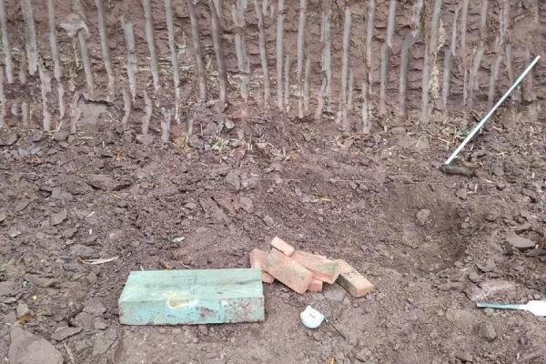 啥时候能动土 啥时候能动土