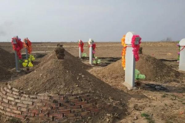 院子里动土会对谁不好(院子里干什么算动土) 院子里动土会对谁不好(院子里干什么算动土)