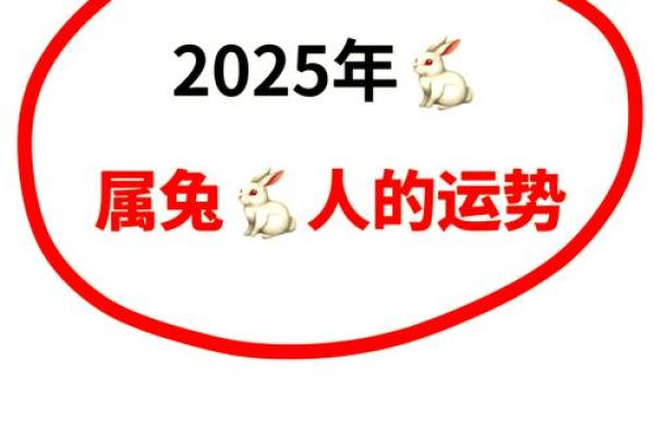 属兔人今年能动土吗(属兔人今年可以建房吗) 属兔人今年能动土吗(属兔人今年可以建房吗)