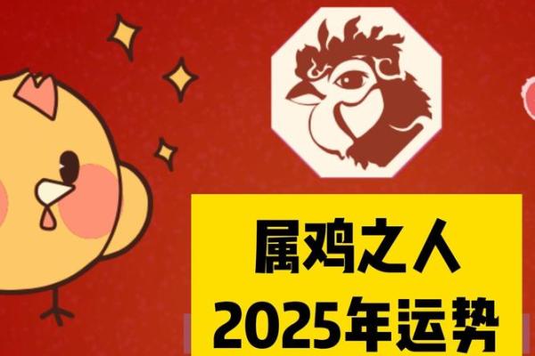 2005年属鸡的今年多大_2005年属鸡的今年多大2023年属鸡人年龄详解 2005年属鸡的今年多大_2005年属鸡的今年多大2023年属鸡人年龄详解