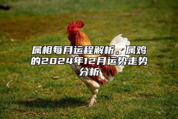 81年属鸡人在2024年的全年运势 81年属鸡人在2024年的全年运势五月初七 81年属鸡人在2024年的全年运势 81年属鸡人在2024年的全年运势五月初七