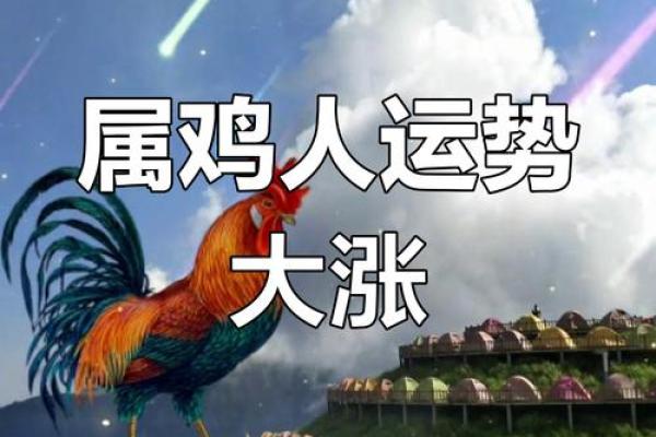 属鸡今曰财运 属鸡今日财运 属鸡今曰财运 属鸡今日财运