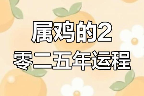 2025年属鸡财运 2025年属鸡财运大揭秘财富运势全解析 2025年属鸡财运 2025年属鸡财运大揭秘财富运势全解析