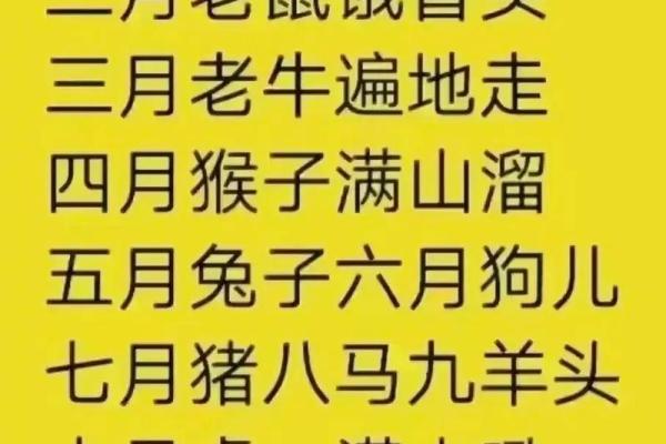 2006年出生为什么属鸡揭秘生肖背后的奥秘 2006年出生为什么属鸡揭秘生肖背后的奥秘