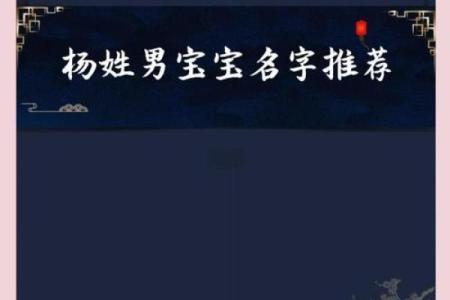 杨姓男孩名字大全-杨姓男孩起名字大全-杨姓名字大全姓名