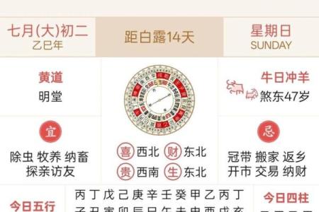 8月24日是什么星座