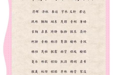 什么字给晚上9点出生的属鸡男孩取名字合适姓名