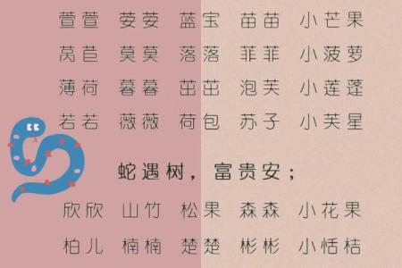 夏至时节出生的女孩小名怎么取,好听诗意的女孩乳名姓名