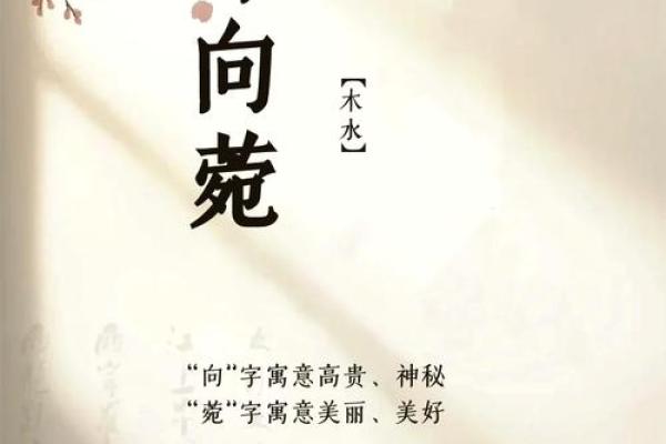 邹姓女孩名字大全-邹姓女孩起名字大全-邹姓名字大全姓名