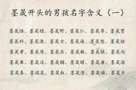 给晚上9点出生的属牛男孩取名字适合用什么字姓名