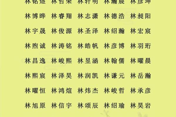 林姓男孩名字大全-林姓男孩起名字大全-林姓名字大全姓名