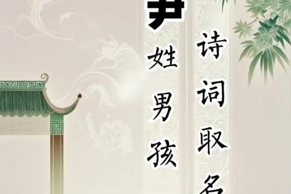 尹姓女孩名字大全-尹姓女孩起名字大全-尹姓名字大全姓名