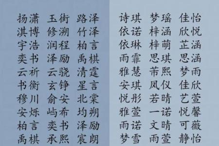 2019年6月28号子时出生的男孩如何起名姓名