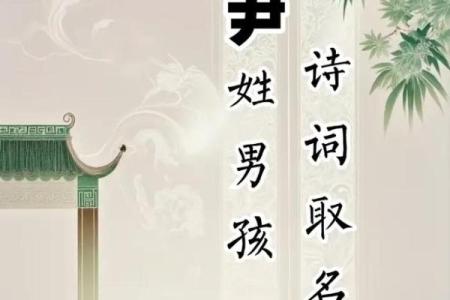 尹姓女孩名字大全-尹姓女孩起名字大全-尹姓名字大全姓名