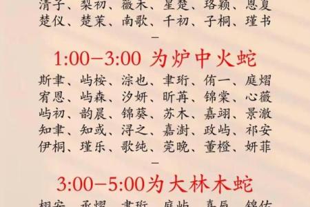 2019年3月28号辰时出生的男孩如何起名姓名