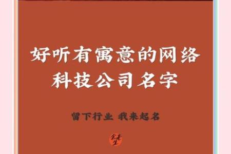 网络公司名字大全-名字大全姓名