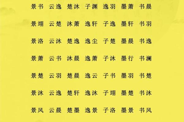 属猪子时出生的男孩如何起名，适合什么字姓名