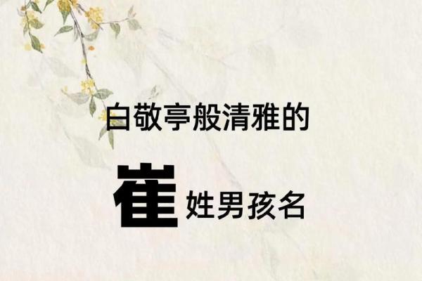 崔姓女孩名字大全-崔姓女孩起名字大全-崔姓名字大全姓名