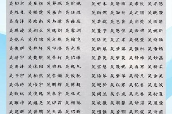 吴姓男孩名字大全-吴姓男孩起名字大全-吴姓名字大全姓名