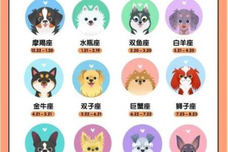 属狗女生好听的小名有哪些？女孩洋气的小名汇总姓名