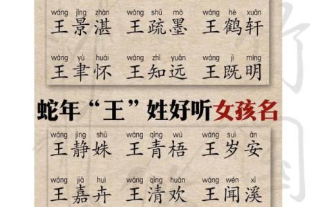 王姓男孩名字大全-王姓男孩起名字大全-王姓名字大全姓名