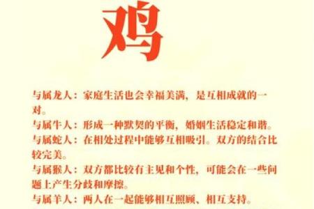 晚上11点出生的属鸡男孩宜用什么字取名字合适姓名