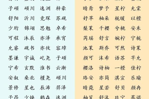 2019年3月12号子时出生的男孩应该起什么样的名字姓名