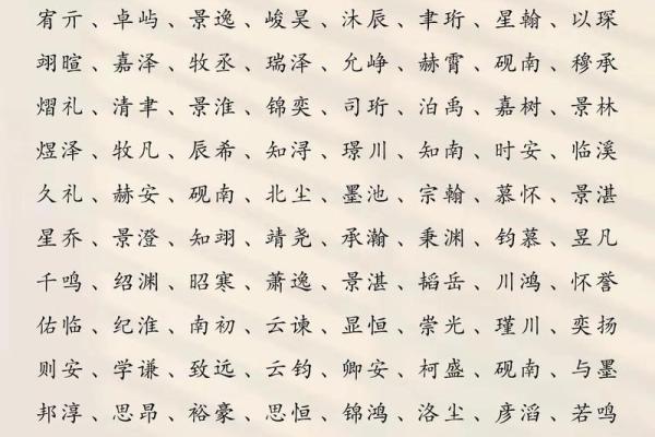 2019年3月20号午时出生的男孩起名方法姓名