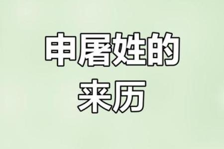 姓申的名人-姓名学-华易算命网姓名