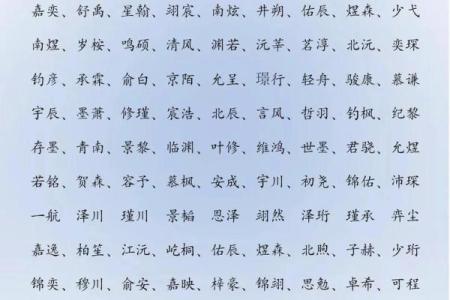 2019年5月1号子时出生的男孩应该起什么样的名字姓名