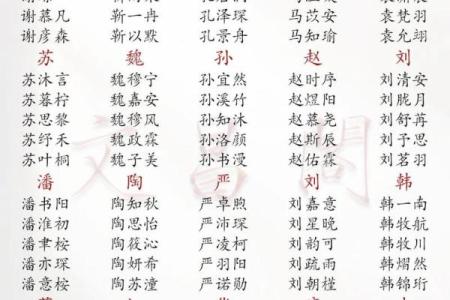 2019年6月26号寅时出生的男孩起名时要注意什么姓名