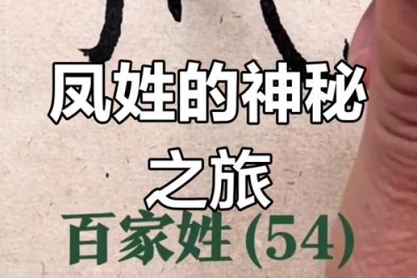 凤姓女孩名字大全-凤姓女孩起名字大全-凤姓名字大全姓名