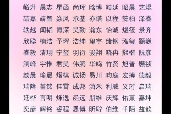 2019年3月31号酉时出生的男孩要怎么起名字姓名