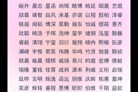 2019年3月31号酉时出生的男孩要怎么起名字姓名