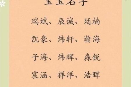 2019年4月26号子时出生的男孩如何起名姓名