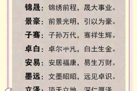 2019年6月24号卯时出生的男孩如何起名姓名