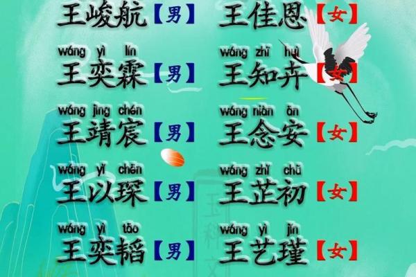 早上8点出生的属兔男孩如何取名姓名 早上8点出生的属兔男孩如何取名姓名