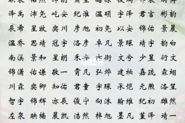 2019年6月15号子时出生的男孩要怎么起名字姓名 2019年6月15号子时出生的男孩要怎么起名字姓名