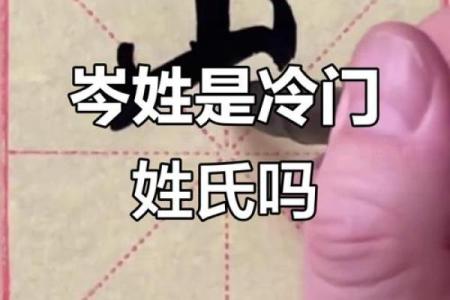 岑姓男孩名字大全-岑姓男孩起名字大全-岑姓名字大全姓名