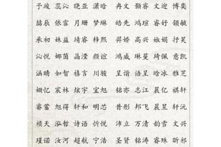 2019年4月28号寅时出生的男孩要怎么起名字姓名