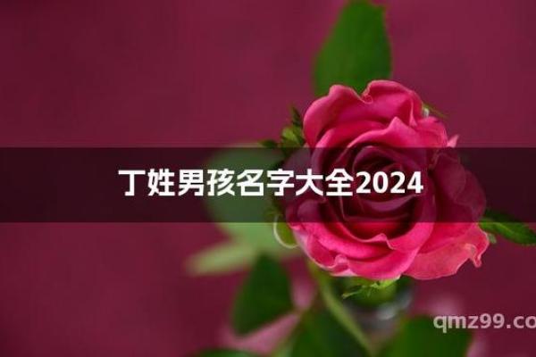 丁姓男孩名字大全-丁姓男孩起名字大全-丁姓名字大全姓名 丁姓男孩名字大全-丁姓男孩起名字大全-丁姓名字大全姓名