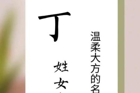 丁姓男孩名字大全-丁姓男孩起名字大全-丁姓名字大全姓名