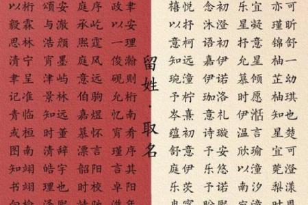 苏姓男孩名字大全-苏姓男孩起名字大全-苏姓名字大全姓名