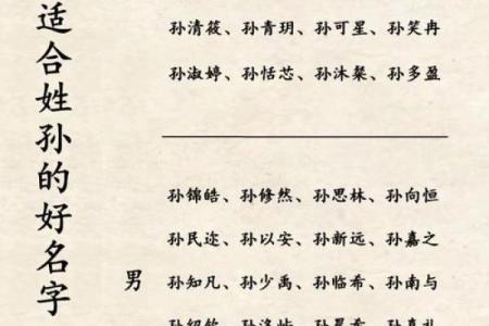 孙姓男孩名字大全-孙姓男孩起名字大全-孙姓名字大全姓名